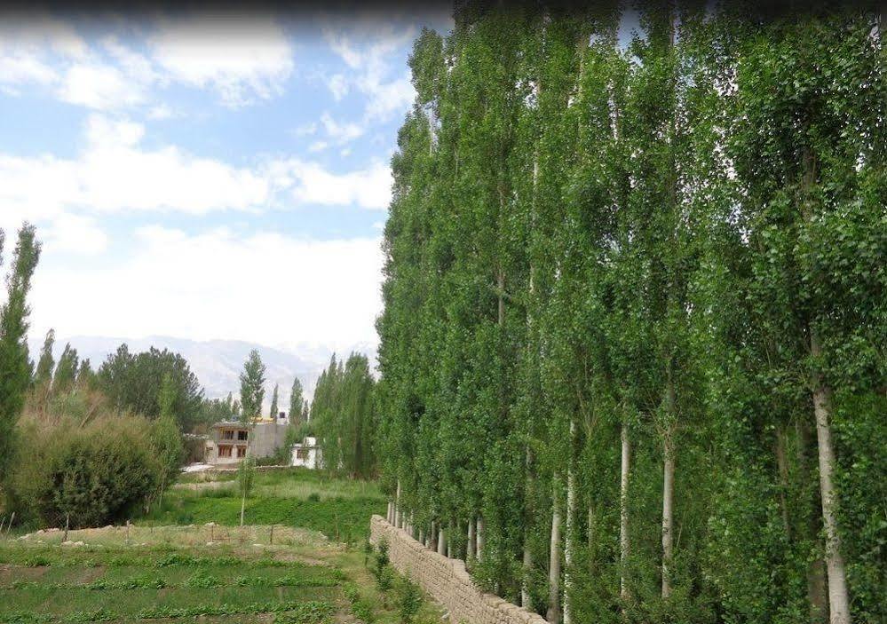 Hotel Ladakh Heaven Лех Экстерьер фото